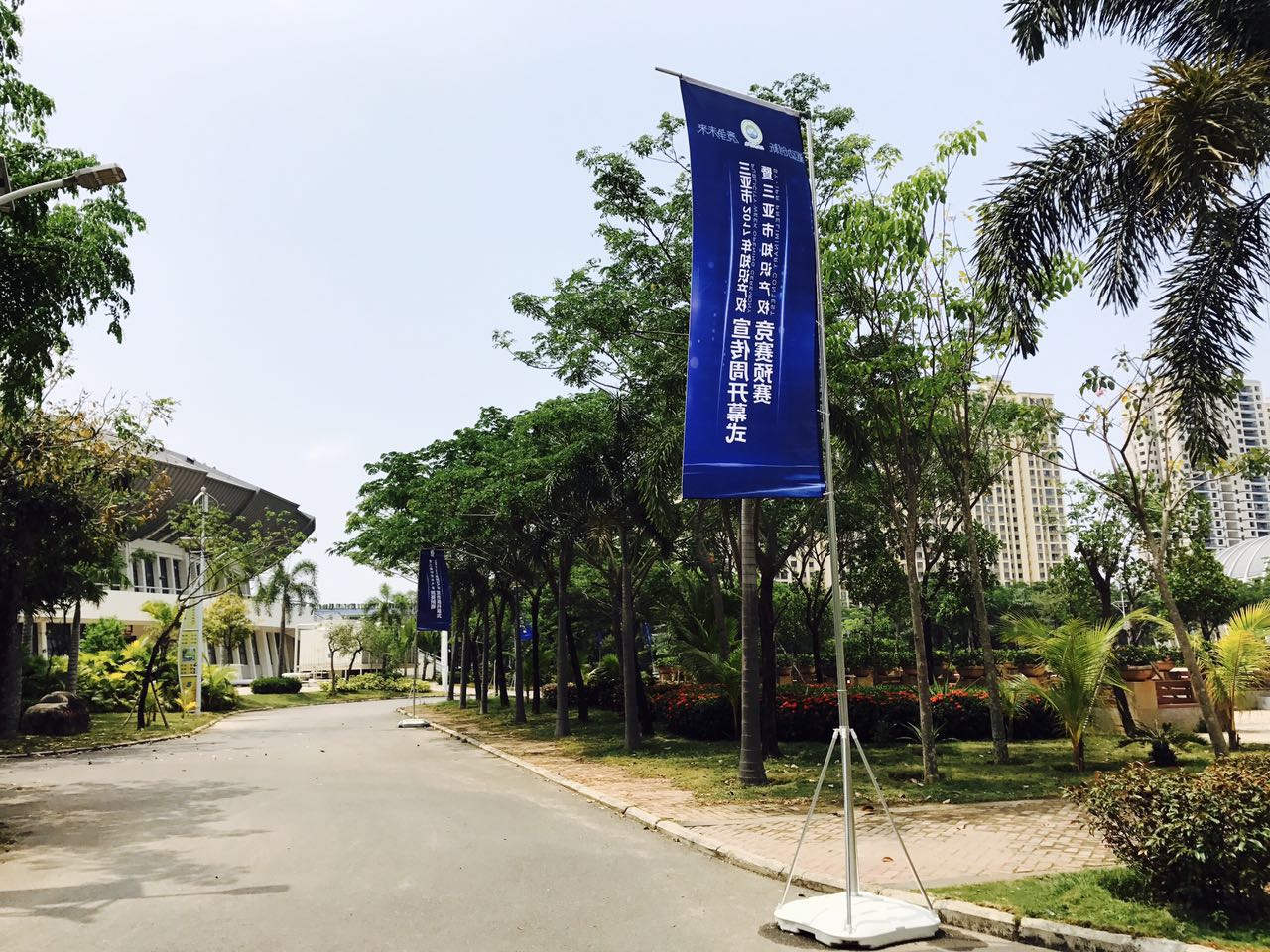 1494667466251125.jpg 224926438.jpg