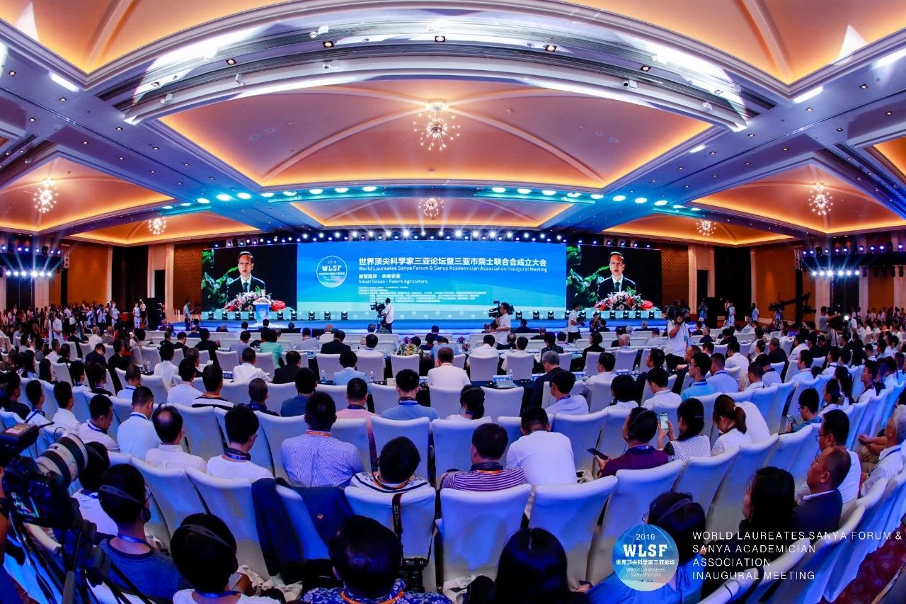 1597043725298284.jpg 2.jpg