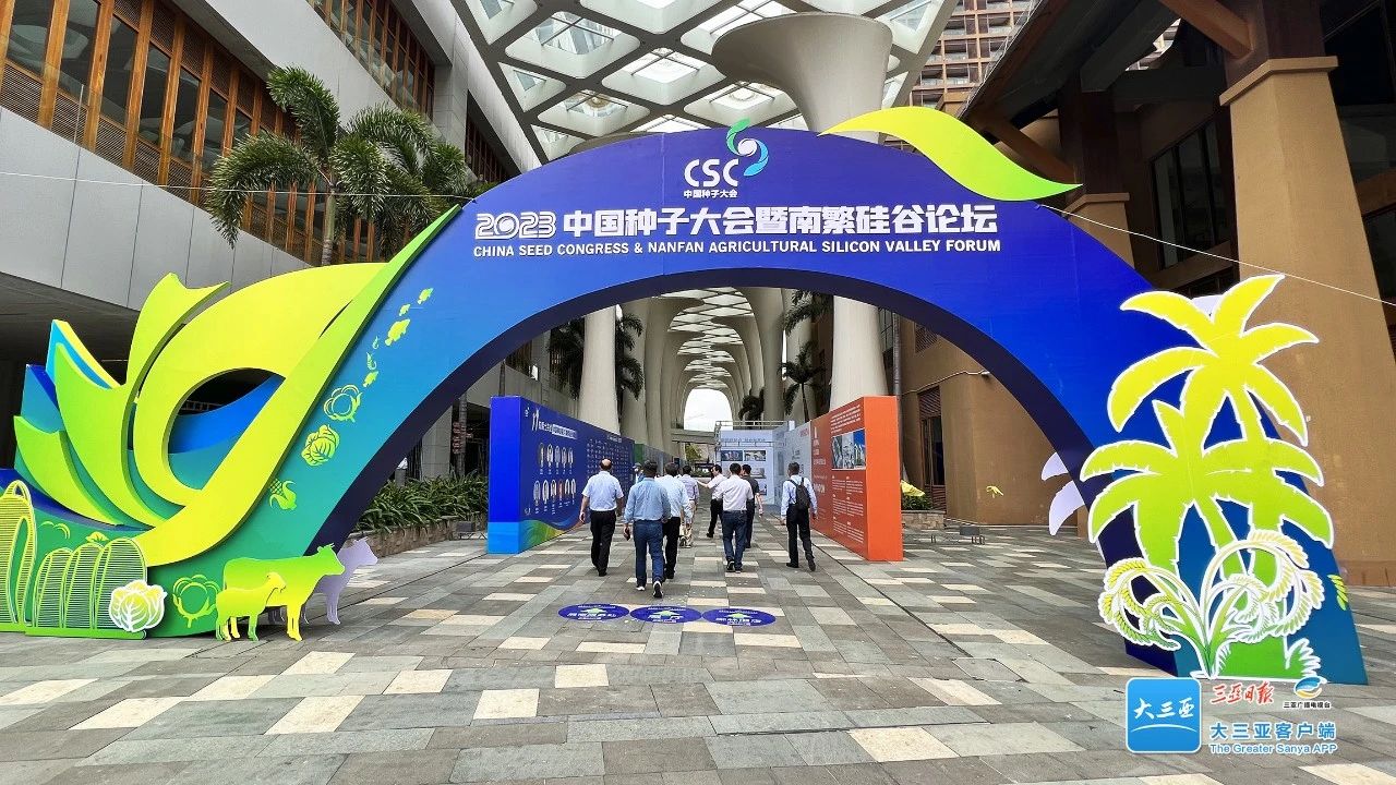 1680497642835582.jpg 3ef8471da3f2f1710dc14697e0483e8f.jpg