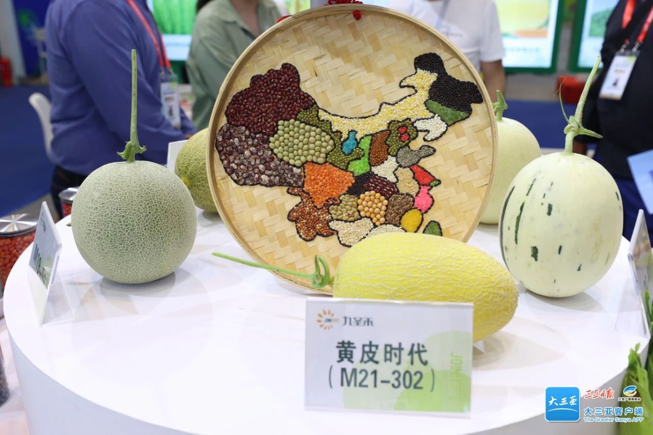 1680497793145054.jpg 44d9066f26da432292717ad2341ea6bb.jpg