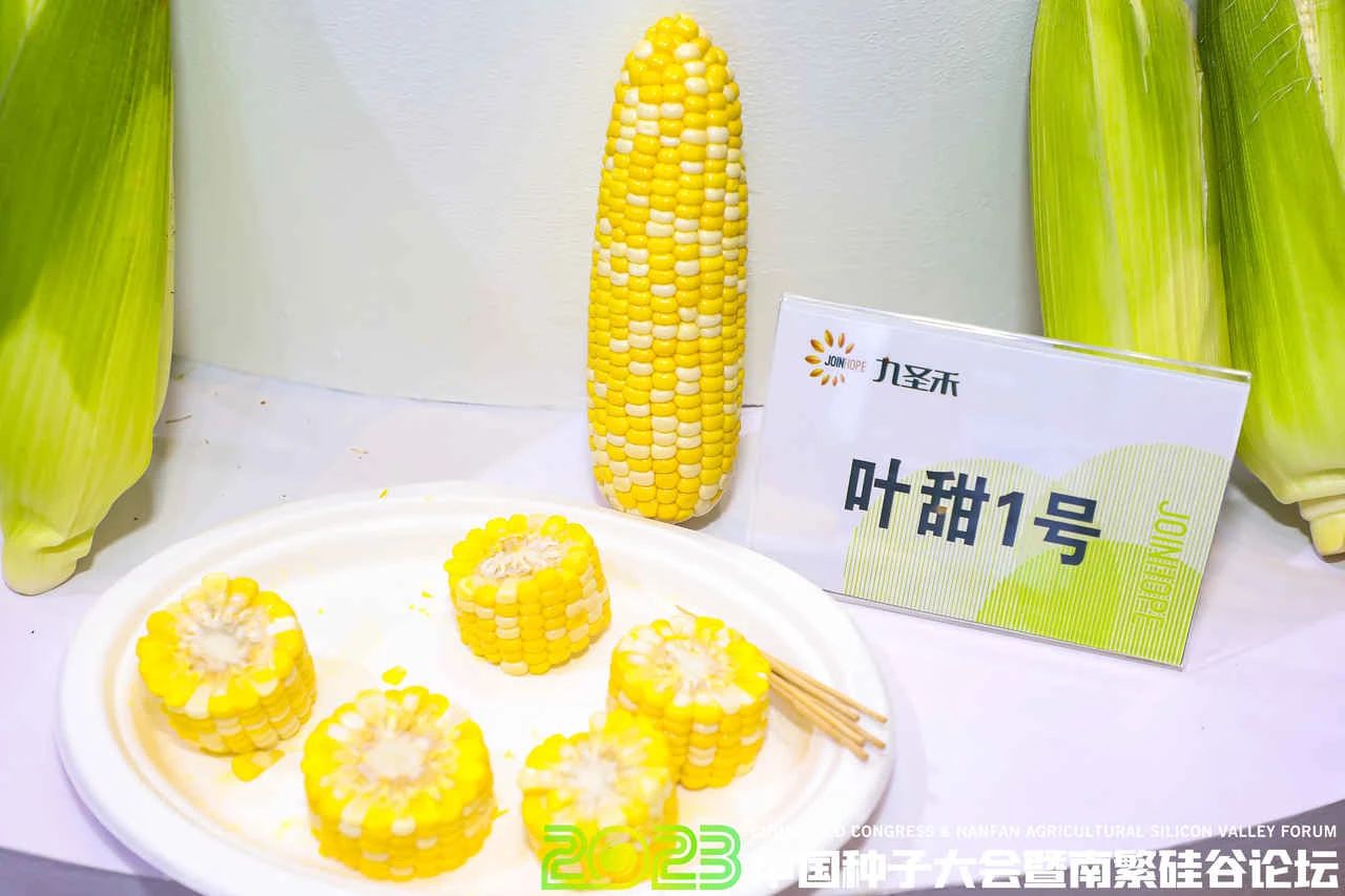 1680497900664428.jpg 7a9d62f8e495b405d480fd373b2d2404.jpg